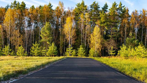 Продам участок 12 соток, Лесная ул, Бекетово д, 0 км от города