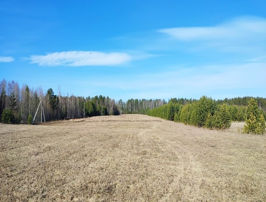 Продам участок 303 соток, Фермерское хоз., Комиссарова ул, Бобровский п, 40 км от города