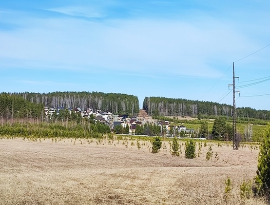 Продам участок 303 соток, Фермерское хоз., Комиссарова ул, Бобровский п, 40 км от города