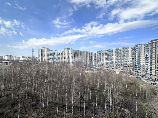 Продам однокомнатную (1-комн.) квартиру, Итальянский пер, 4, Кудрово г