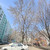 Продам трехкомнатную (3-комн.) квартиру, Таганрогская ул, 124/3, Ростов-на-Дону г