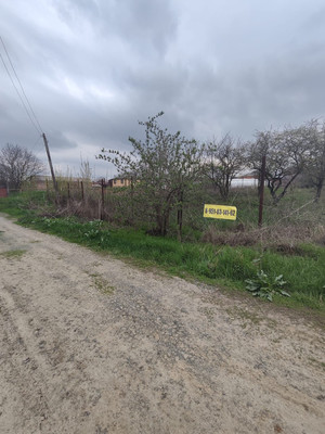 Продам участок 10 соток, Вавилова ул, 11а, Большие Салы с, 0 км от города