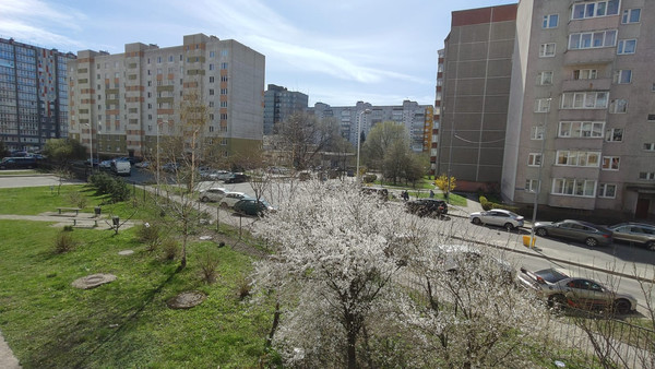 Продам двухкомнатную (2-комн.) квартиру, Старшины Дадаева ул, 59, Калининград г