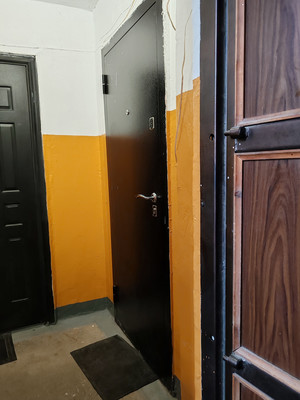 Продам трехкомнатную (3-комн.) квартиру, Попова ул, 19, Нижний Тагил г