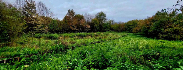 Продам дом, Пионерская ул, 1, Самурская ст-ца, 0 км от города