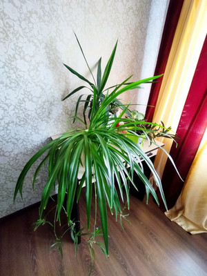 Продам однокомнатную (1-комн.) квартиру, Рытикова ул, 2, Рязань г