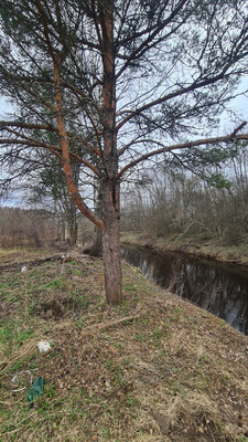 Продам участок 6,2 соток, Фермерское хоз., Мира ул, Лебяжье гп, 0 км от города