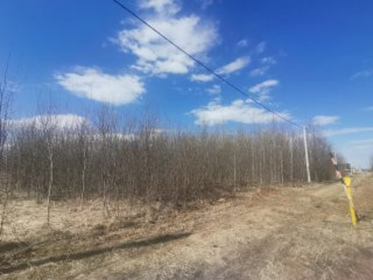 Продам участок 11,7 соток, Апшакбеляк д, 0 км от города
