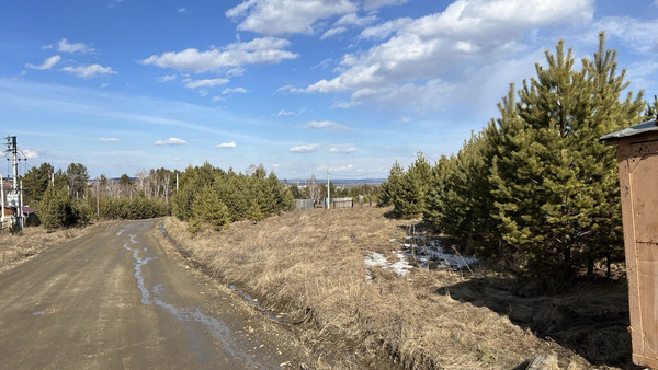Продам участок 8 соток, ИЖС, Дальний пер, Максимовщина с, 0 км от города
