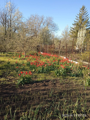 Продам участок 10 соток, Фермерское хоз., Поднятая целина сад, Несветай с, 0 км от города