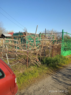 Продам участок 10 соток, Фермерское хоз., Поднятая целина сад, Несветай с, 0 км от города