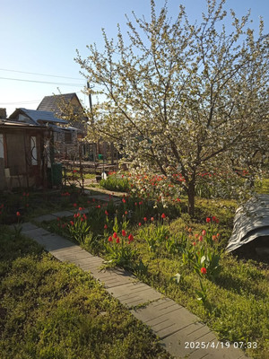 Продам участок 10 соток, Фермерское хоз., Поднятая целина сад, Несветай с, 0 км от города