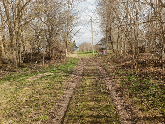 Продам участок 15 соток, ИЖС, Холоповицы д, 0 км от города