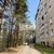 Продам трехкомнатную (3-комн.) квартиру, Заозерная ул, 1, Кузьмолово д