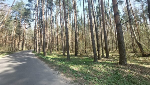 Продам дачу, ДП Калинка тер, Раменское г, 0 км от города