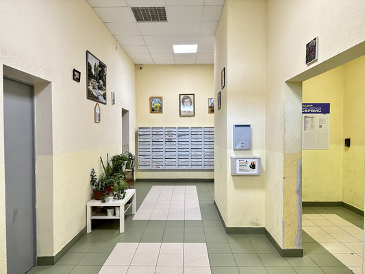 Продам однокомнатную (1-комн.) квартиру, Мытищинская ул, 3, Троицкое с