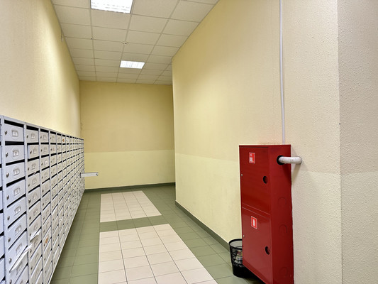 Продам однокомнатную (1-комн.) квартиру, Мытищинская ул, 3, Троицкое с