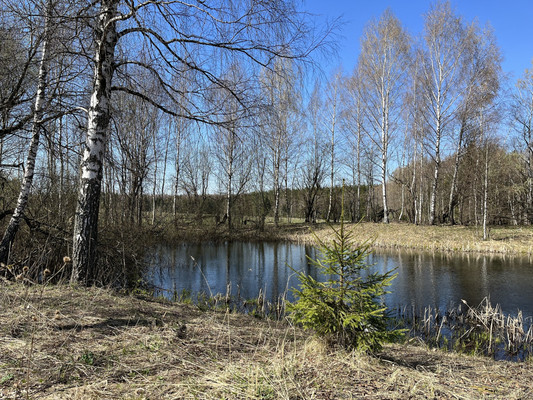 Продам участок 50 соток, Боброво д, 0 км от города