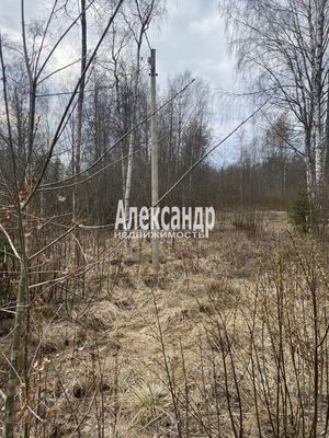 Продам участок 25 соток, ИЖС, Красное п, 100 км от города