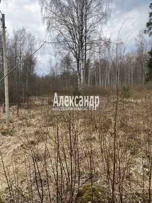 Продам участок 25 соток, ИЖС, Красное п, 100 км от города
