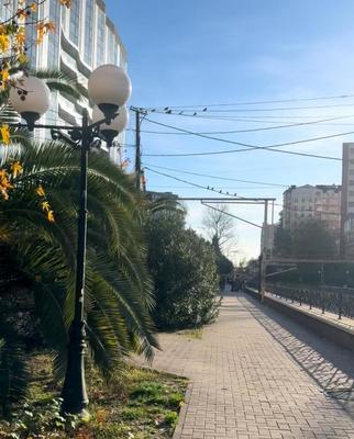 Продам однокомнатную (1-комн.) квартиру, Волжская (Центральный р-н) ул, 32, Сочи г