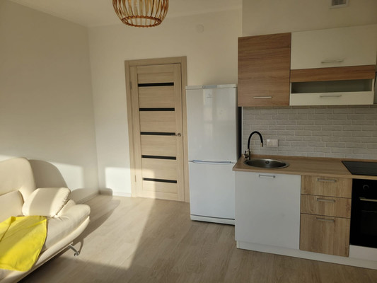 Продам однокомнатную (1-комн.) квартиру, Ручьевский пр-кт, 3к1, Мурино п