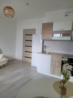 Продам однокомнатную (1-комн.) квартиру, Ручьевский пр-кт, 3к1, Мурино п