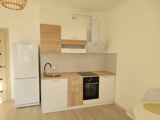 Продам однокомнатную (1-комн.) квартиру, Ручьевский пр-кт, 3к1, Мурино п