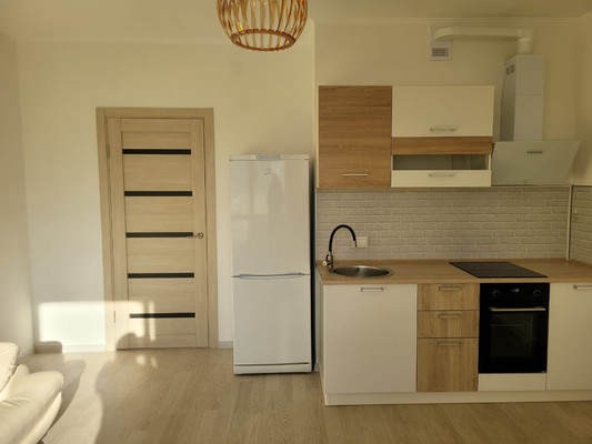 Продам однокомнатную (1-комн.) квартиру, Ручьевский пр-кт, 3к1, Мурино п