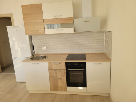 Продам однокомнатную (1-комн.) квартиру, Ручьевский пр-кт, 3к1, Мурино п