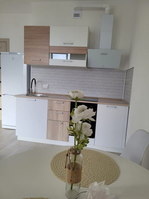 Продам однокомнатную (1-комн.) квартиру, Ручьевский пр-кт, 3к1, Мурино п