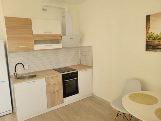 Продам однокомнатную (1-комн.) квартиру, Ручьевский пр-кт, 3к1, Мурино п