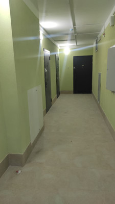 Продам однокомнатную (1-комн.) квартиру, Ручьевский пр-кт, 3к1, Мурино п