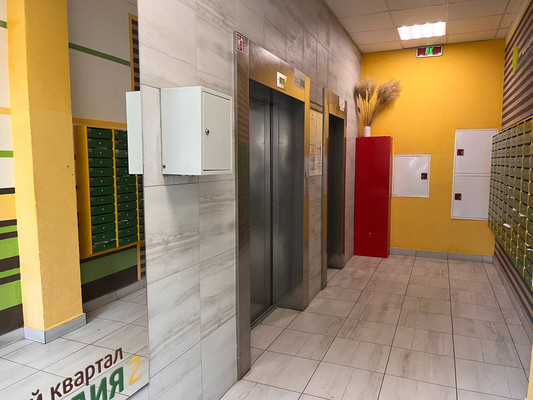 Продам однокомнатную (1-комн.) квартиру, Ручьевский пр-кт, 9, Мурино п