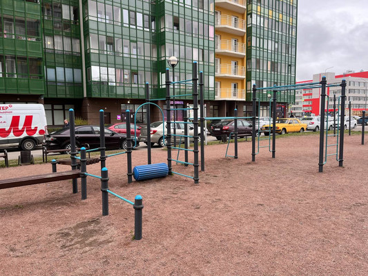 Продам однокомнатную (1-комн.) квартиру, Ручьевский пр-кт, 9, Мурино п