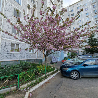 Продам многокомнатную квартиру, Красных Партизан ул, 111, Краснодар г