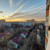 Продам однокомнатную (1-комн.) квартиру, Льва Толстого ул, 11к2, Москва г