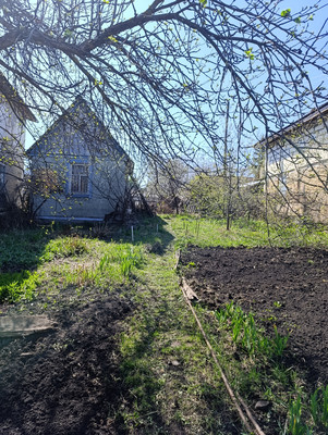 Продам дачу, ДОС ул, Пенза г, 0 км от города