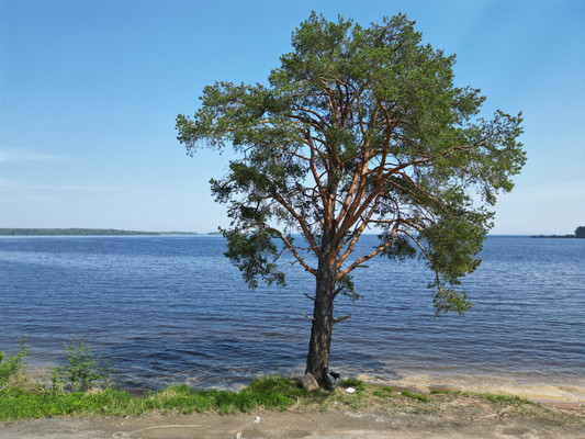 Продам таунхаус, Онежская ул, 139, Деревянное с, 0 км от города