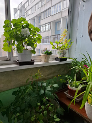 Продам однокомнатную (1-комн.) квартиру, Исаковского ул, 25к1, Москва г