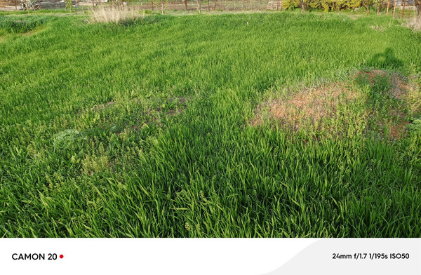 Продам участок 6 соток, ИЖС, Синявское с, 0 км от города