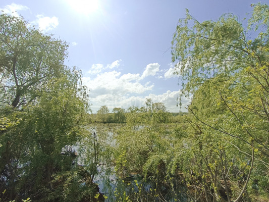 Продам дом, Горького пер, 5, Апшеронск г, 0 км от города