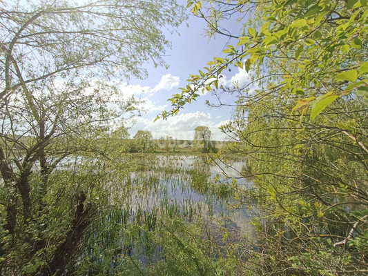 Продам дом, Горького пер, 5, Апшеронск г, 0 км от города