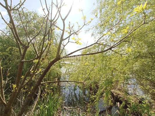 Продам дом, Горького пер, 5, Апшеронск г, 0 км от города