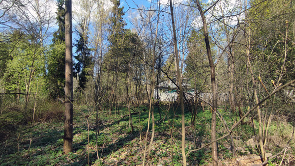 Продам участок 26 соток, ИЖС, Московская ул, Заветы Ильича с, 0 км от города