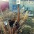 Продам дачу, Вагонник тер. СНТ, уч.6, Екатеринбург г, 0 км от города