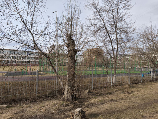 Продам двухкомнатную (2-комн.) квартиру, Парашютная ул, 12, Красноярск г