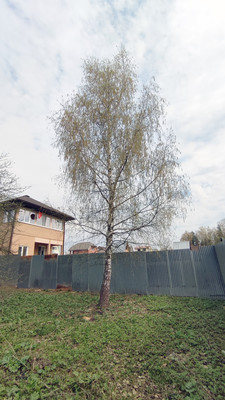 Продам участок 6 соток, Фермерское хоз., Зверосовхоза п, 0 км от города