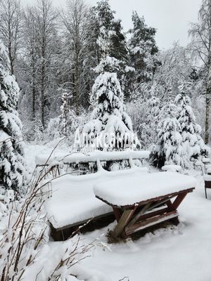 Продам участок 7,8 соток, Садоводство, поселок ст Березовик, Березняк д, 32 км от города