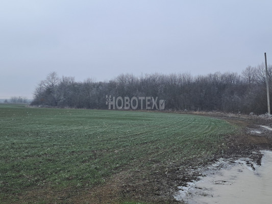 Продам землю для коммерческого использования 90 соток, Фермерское хоз., Суздальская ст-ца